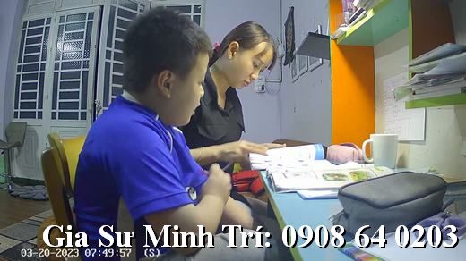 trung tâm gia sư quy nhơn